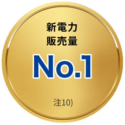 新電力販売量No.1 注8)