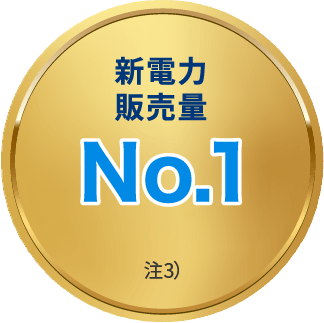 新電力販売量No.1 注3)