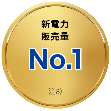 新電力販売量No.1 注8)